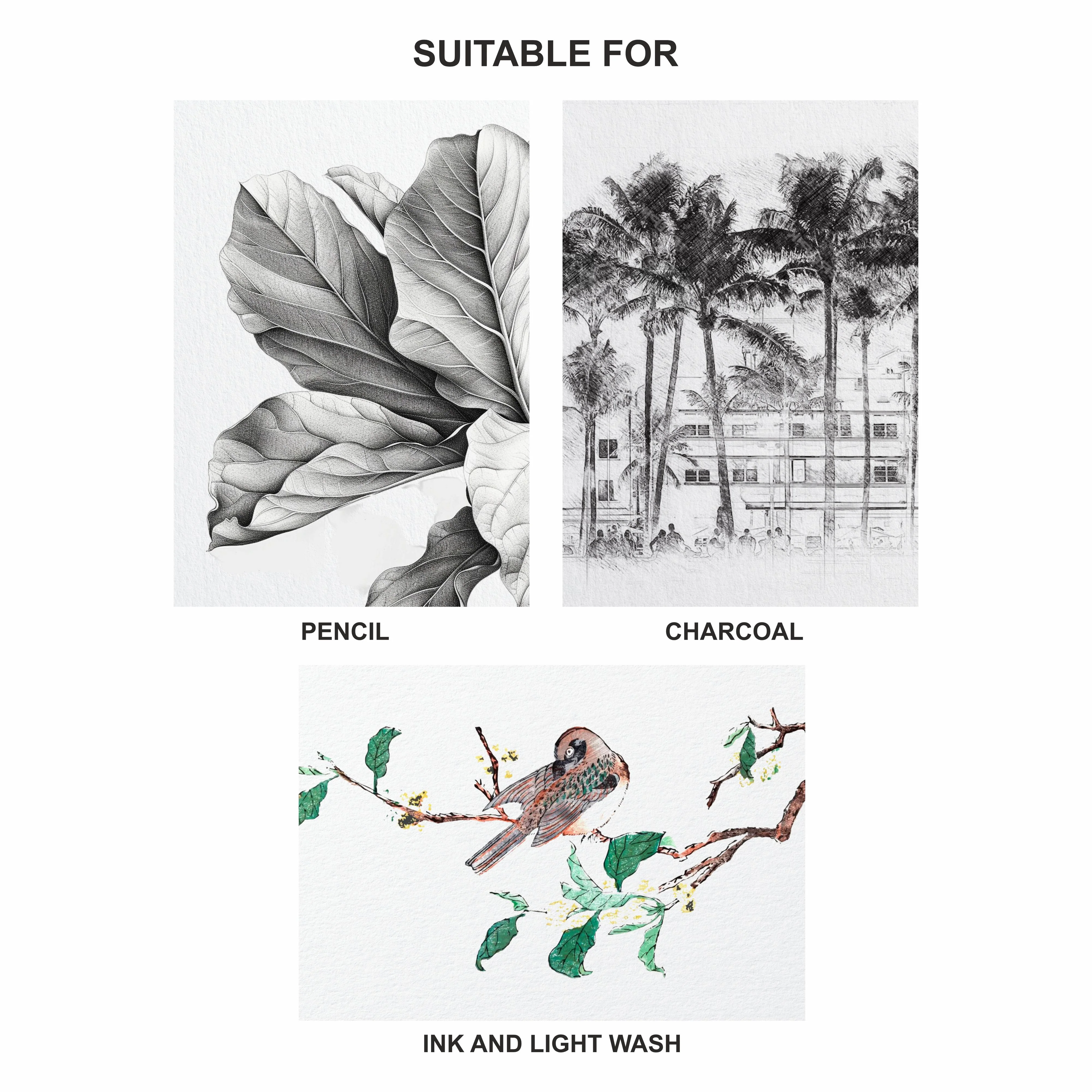 Anupam Sketch-O Cartridge Drawing Paper for sketching and drawing Loose sheets 140 GSM - Image 24