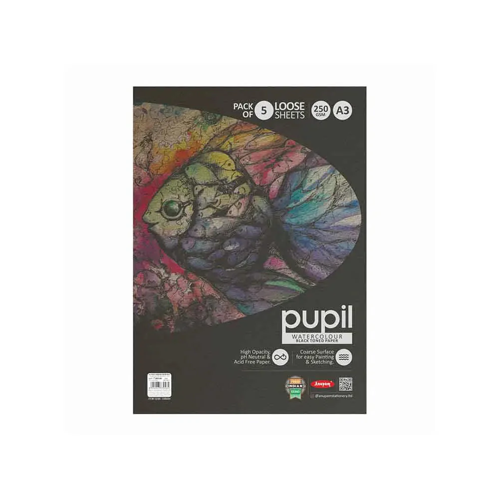 Anupam Pupil Watercolour Black Toned Loose Sheets - 250 GSM