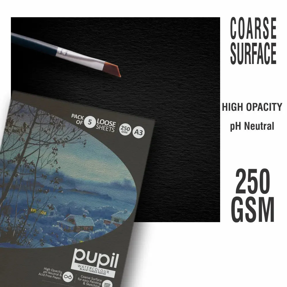 Anupam Pupil Watercolour Black Toned Loose Sheets - 250 GSM - Image 6