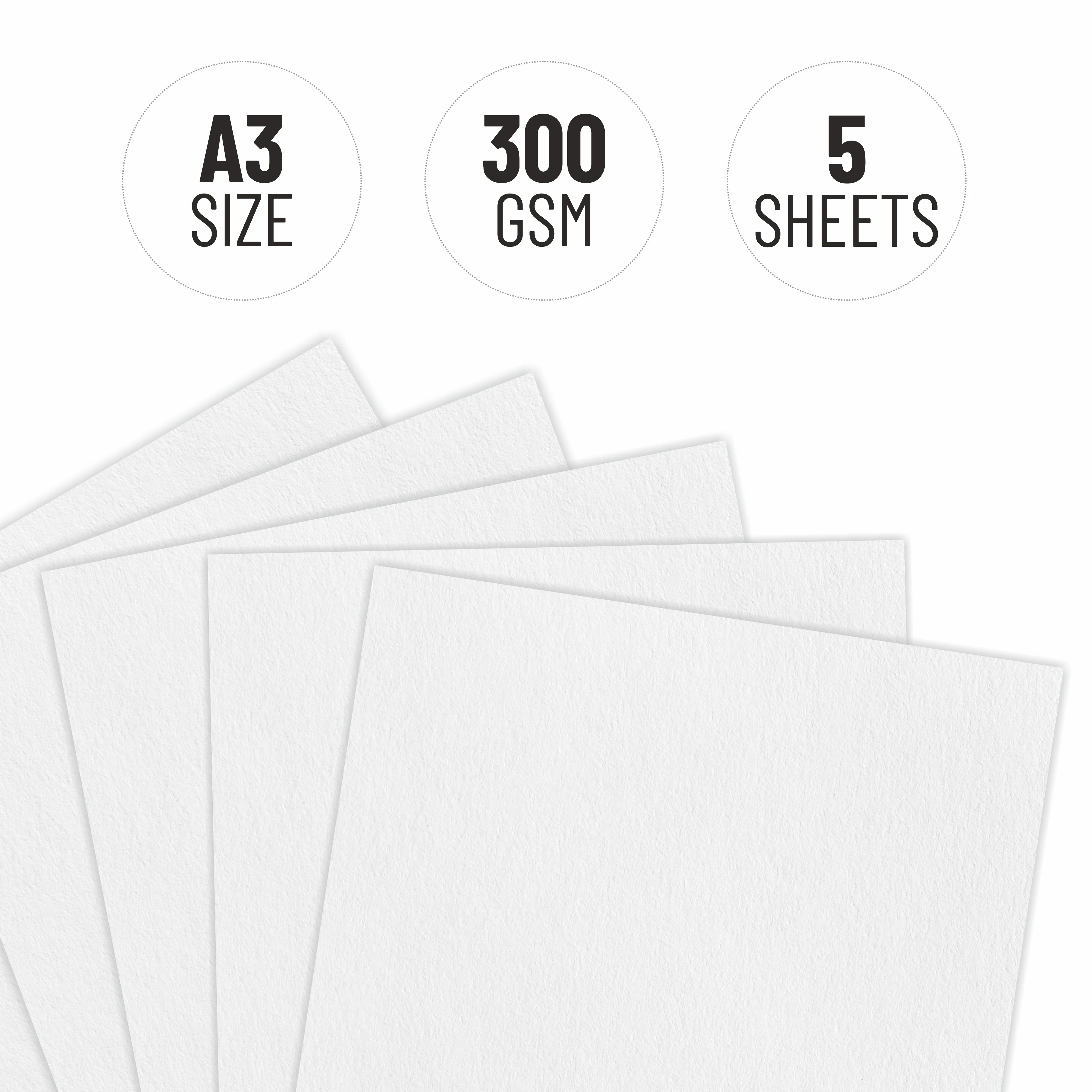 Anupam Watercolour Paper Loose Sheets-Natural white-Grained Surface-Cold Pressed-(200 and 300 GSM) - Image 20