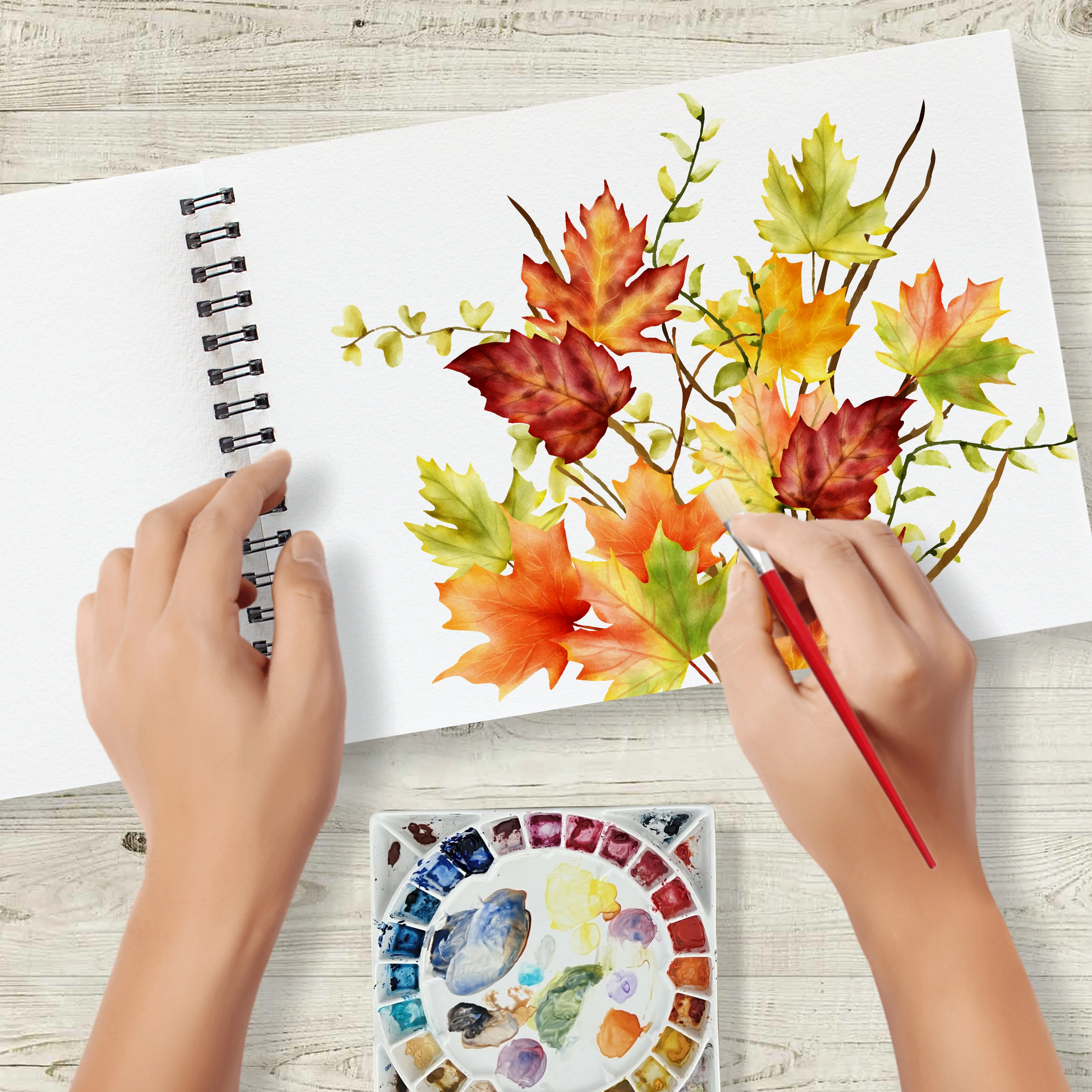 Anupam Watercolour Paper Wireo Book -Cold Pressed-natural White-(200 GSM & 300 GSM) - Image 6